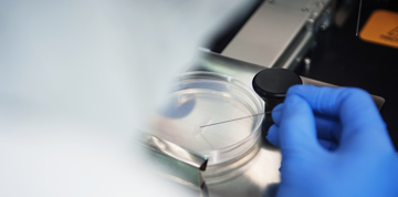 A person in a lab coat holds a small sample, standing in a laboratory setting with equipment in the background