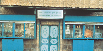 Salomon, Levin and Elstein Ltd.